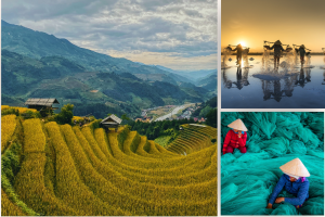 AM Industries VN Metal fabricator visit Vietnam